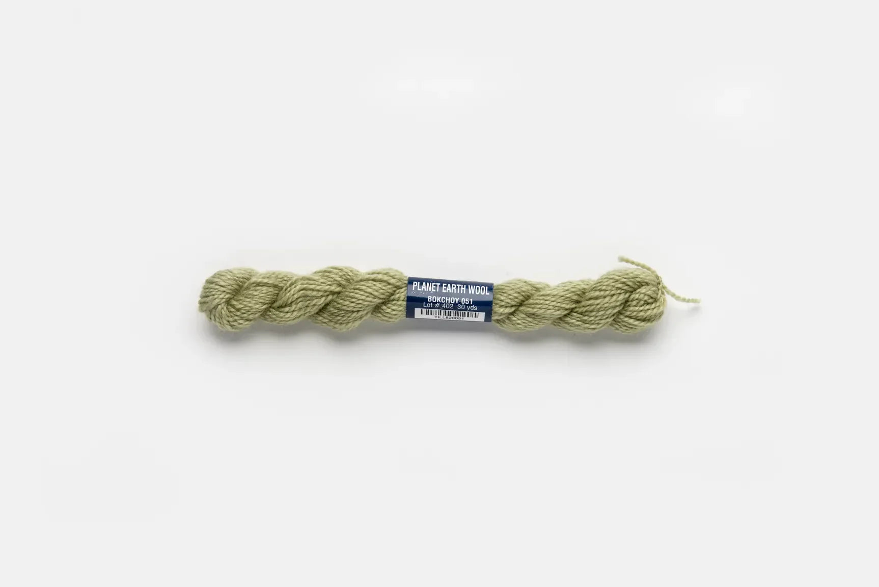 Planet Earth Wool