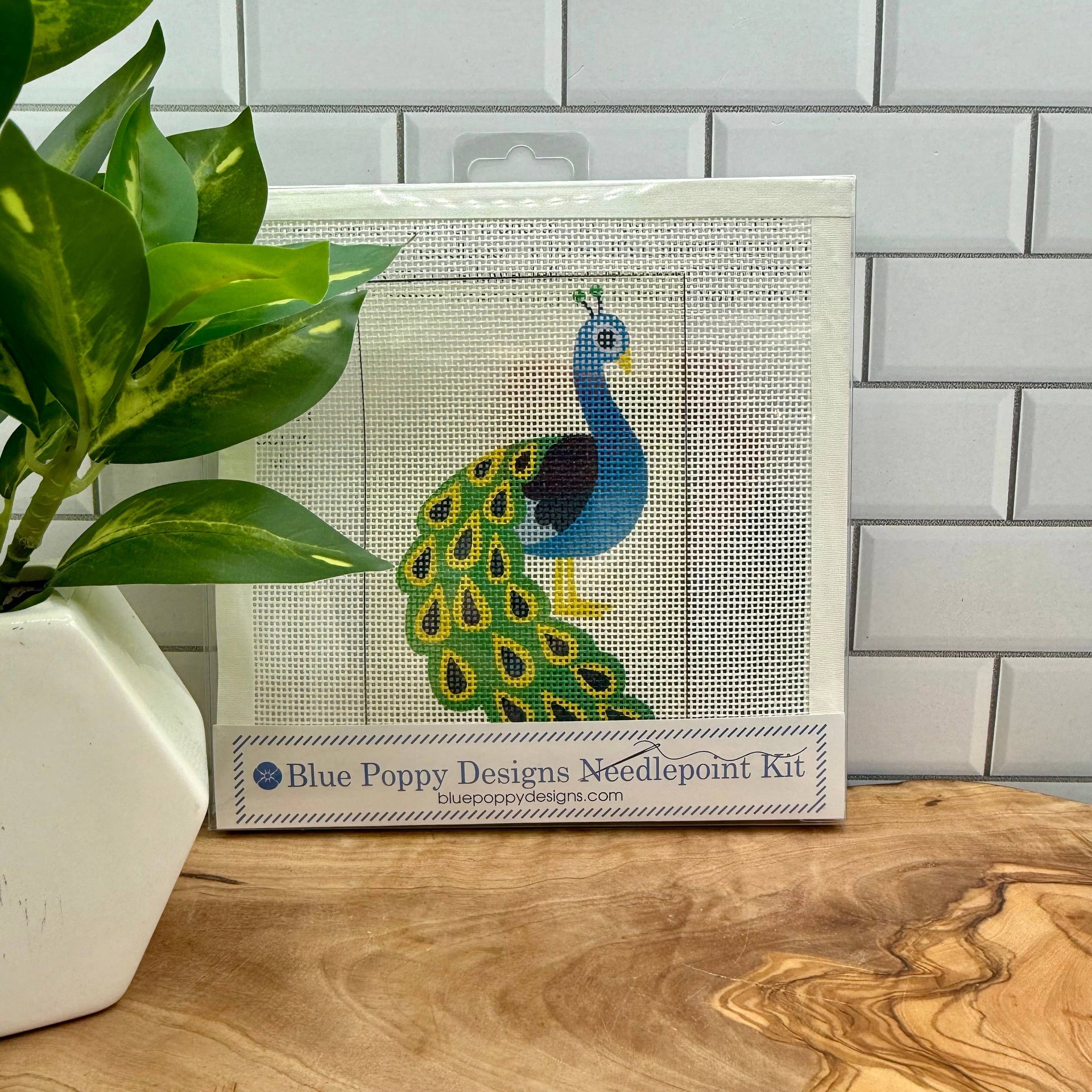 Peacock Needlepoint Kit by Blue Poppy Designs