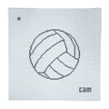Volleyball Needlepoint Canvas