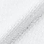 Charles Craft Iridescent Aida 14ct