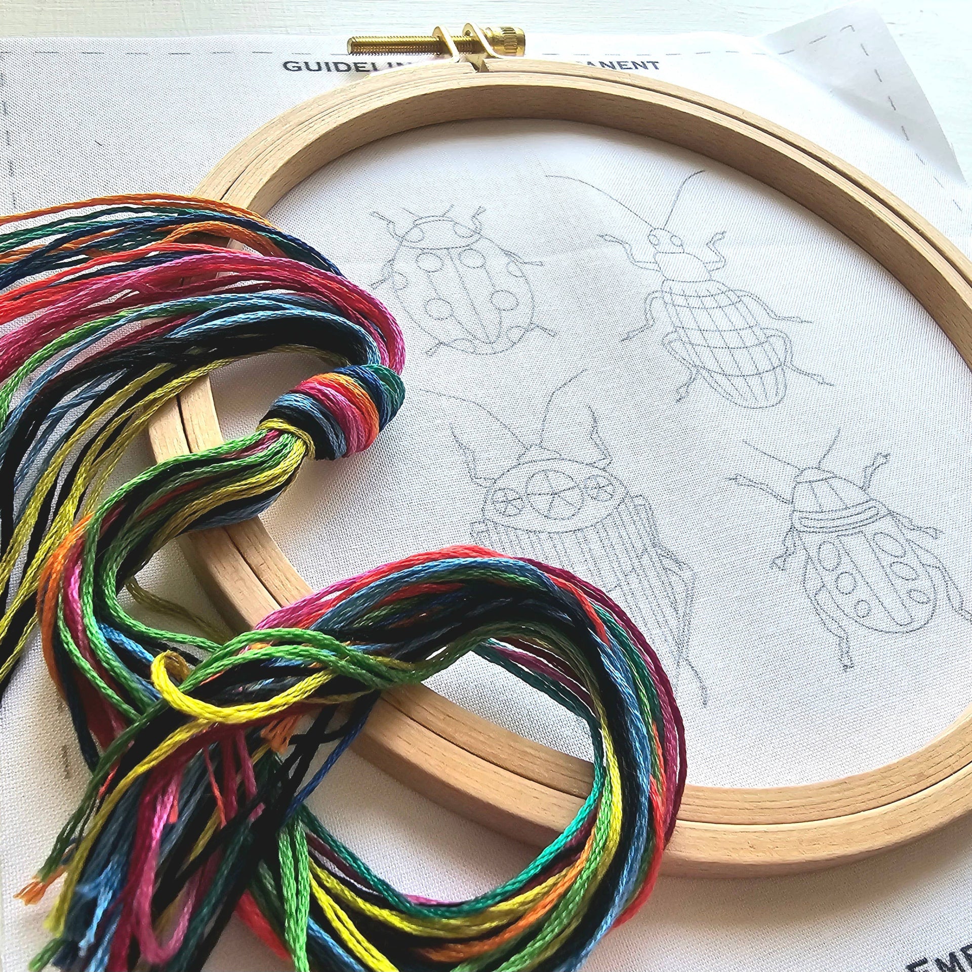 Beetle Collection Embroidery Kit by Jessica Long