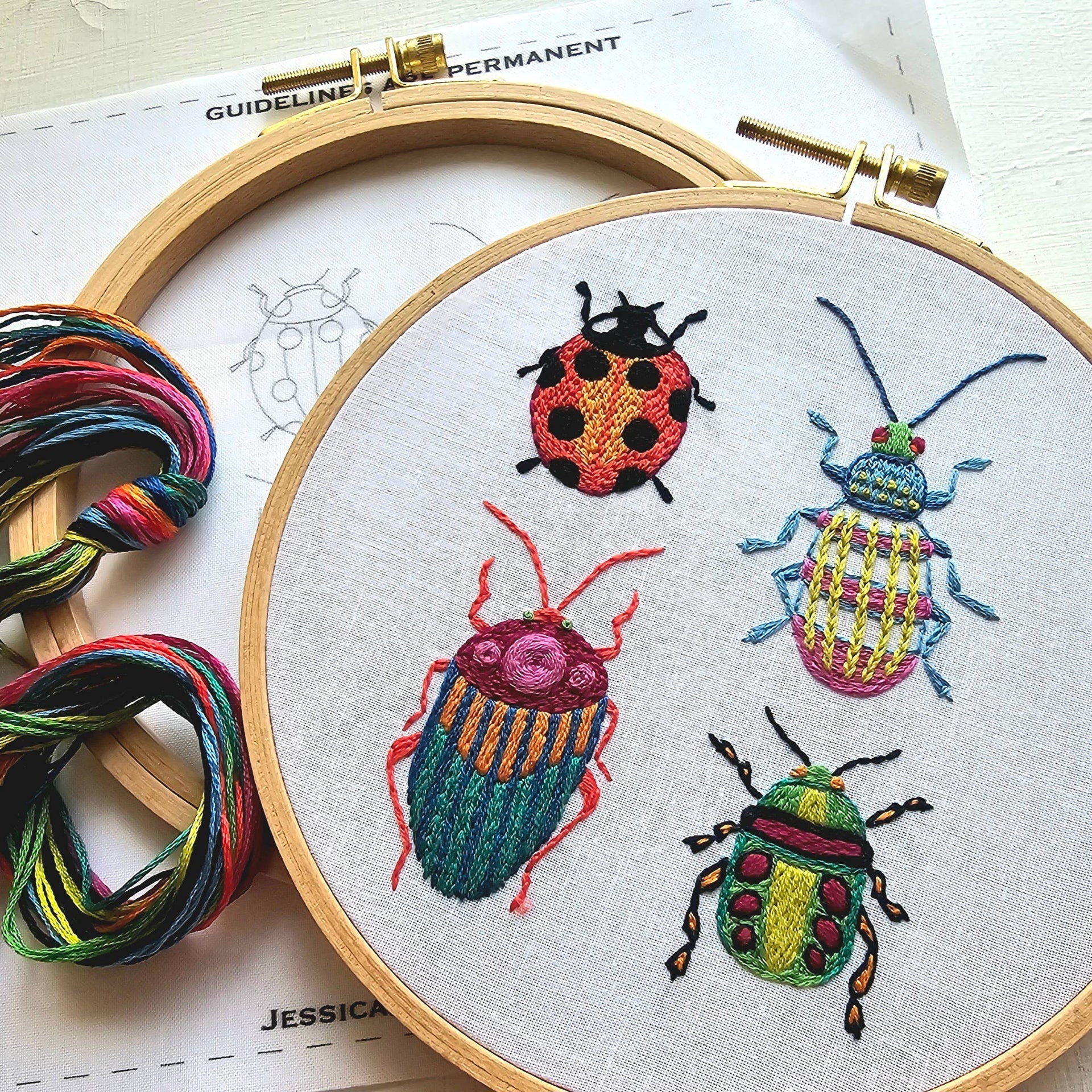 Beetle Collection Embroidery Kit by Jessica Long